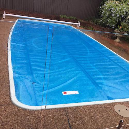 Daisy Power - Squat Profile Pool Roller
