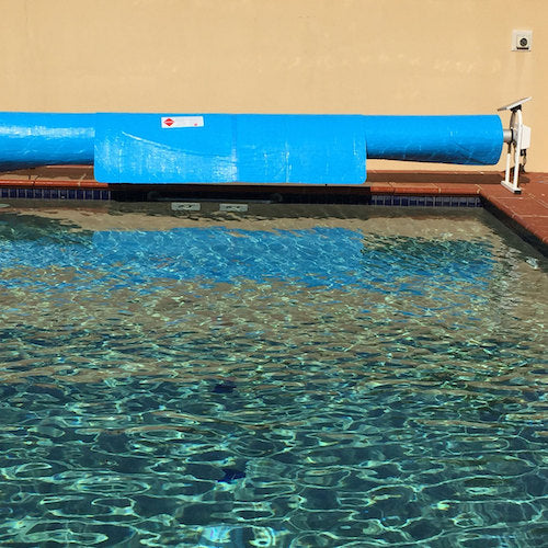 Daisy Power - Standard Stationary Pool Roller