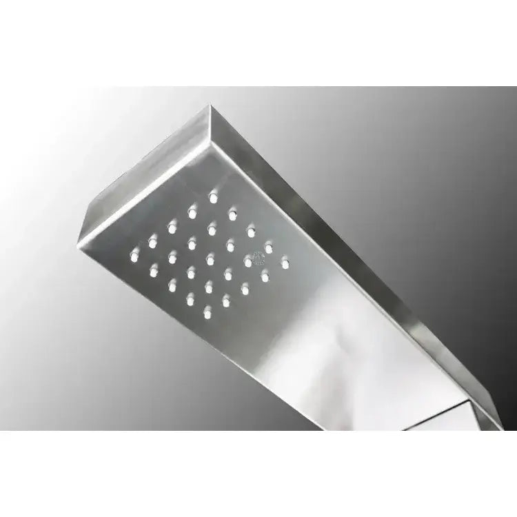 Windsor Silver ADA Outdoor Pool Shower