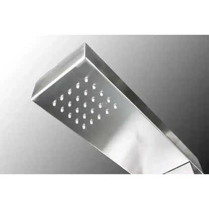 Windsor Silver ADA Outdoor Pool Shower