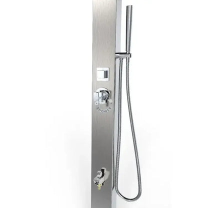 Windsor Silver ADA Outdoor Pool Shower